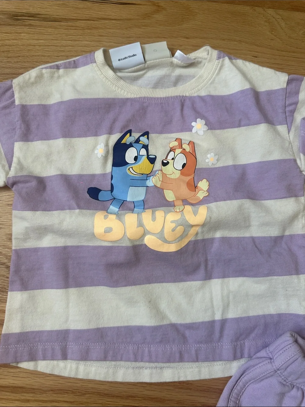 Zara Lavender and Cream Striped Bluey Tee with Lavender Shorts